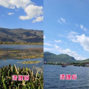 洱?？蛻艉此萸謇硇Ч故?></div>
														<div   id=